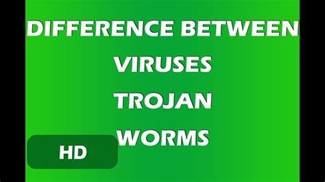 Difference Between Virus Worms And Trojan Youtube