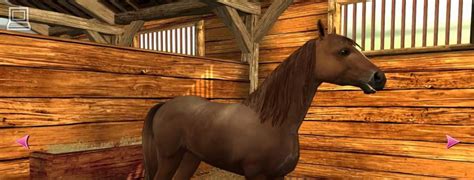 Horse Life 4 Soffre Une Première Bande Annonce Lactu Jeu