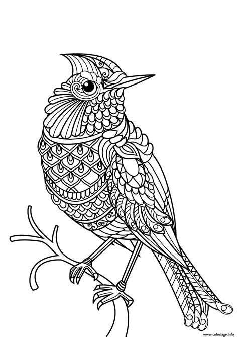 Coloriage oiseau mandala difficile adulte  JeColorie.com