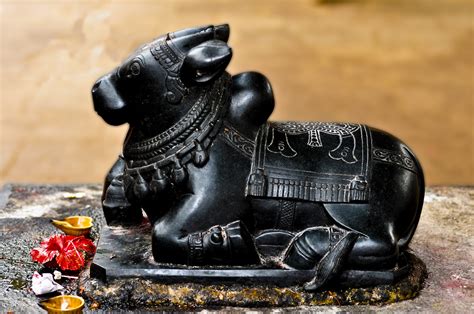 Lord Nandi Photos Lord Nandi Images Lord Nandi Hd Wallpapers Lord