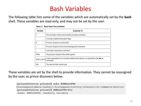 Ppt Workbook 6 The Bash Shell Powerpoint Presentation Free Download Id3781600