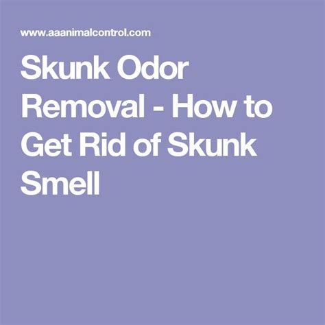 Skunk Odor Removal How To Get Rid Of Skunk Smell Skunk Smell