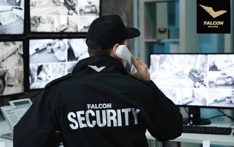 falcon security