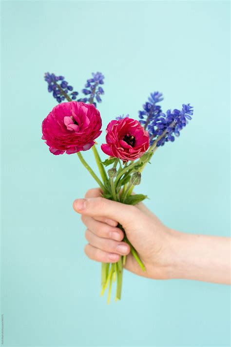 Top view of flowers on white frame on purple surface. Hand Holding Bunch Of Flowers | Stocksy United