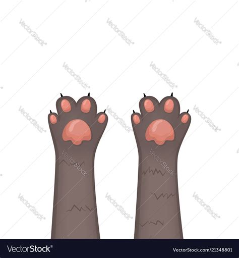 Cats Background Kitten Cartoon Paws Set Royalty Free Vector