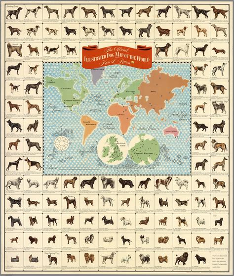 All Dogs In The World Chart
