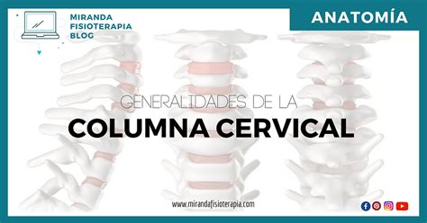 Generalidades De La Columna Cervical