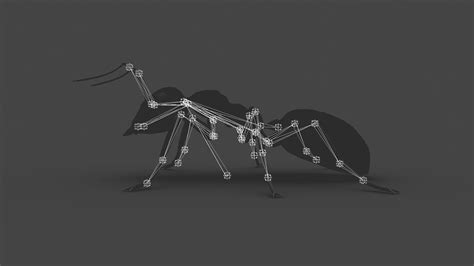 3d model ants 002 rigged black ant vr ar low poly cgtrader