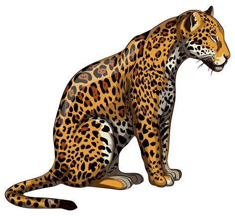 Jaguar Rainforest Animals Clipart Nature Wallpaper Images And Photos