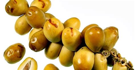 Khasiat kurma muda menjadi suatu pertanyaan yang ingin diketahui khususnya bagi kelancaran asi (ibu zat ini banyak digunakan untuk mencegah anemia (kekurangan sel darah merah) dan juga. kurma: 96 ALL NEW KURMA KUNING