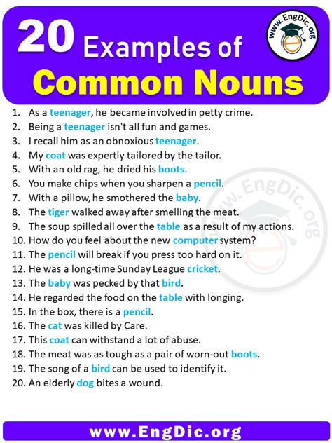 Common Noun Sentences