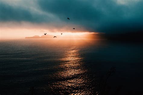 Birds Flying Over The Ocean At Sunset