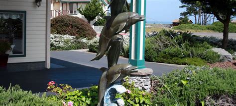 Home Emerald Dolphin Inn Mendocino Coast Botanical Gardens Garden