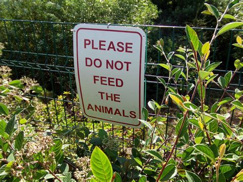 Do not feed the animals! File:Sign advising not to feed the animals.jpg - Wikimedia ...