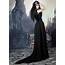 Princess Spookerina Gown  Steamed Velvet Lace And Chiffon Medieval