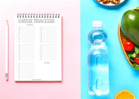 15 Totally Free Bullet Journal Printable To Organize Your Life In 2022