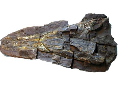 Find denne og andre pins på prehistoric via andrejs lazovskis. Steinkern.de - Die Fossilien-Community - Galerie ...