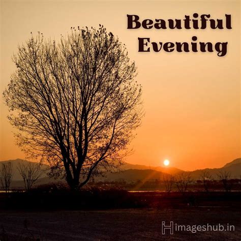 10 Good Evening Images Best Wishes Images