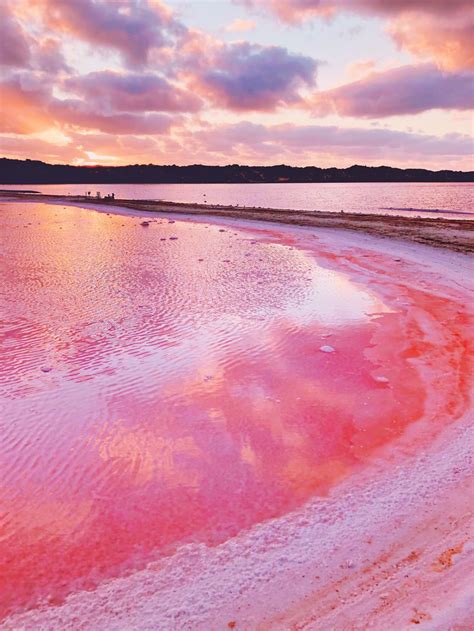 I Captured The Magic Of Pink Lagoon In Western Australia 20 Pics