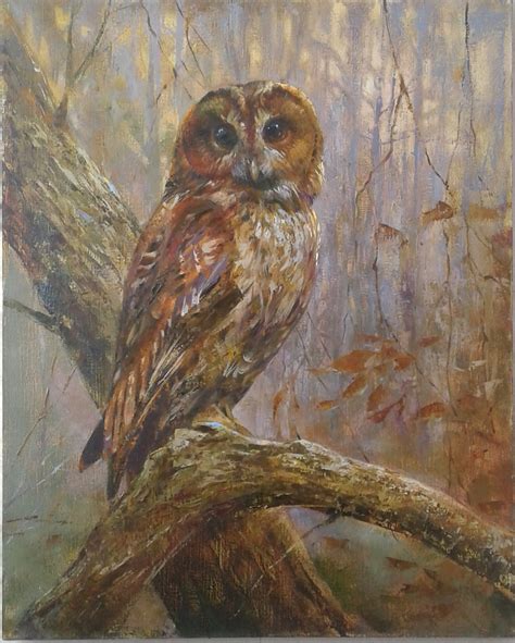 Owl 6 Oil Painting On Canvas Original 20x16 Modern Wall Etsy