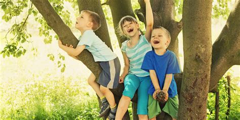 Green Spaces In Schools Improve Childrens Memory And Attention Huffpost