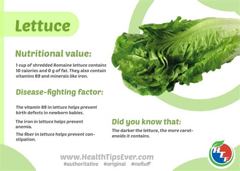 Nutritional Value Of Lettuce Health Tips Ever Magazine