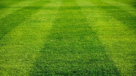 All About Synthetic Turf And Field Safety The Sideline Project