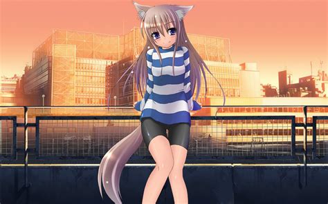 Anime Girl With Cat Wallpaper Bakaninime