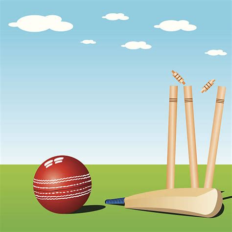 980 Cricket Pitch Stock Illustrations Royalty Free Vector Graphics