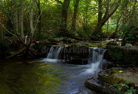 Peaceful River In Forest Stock Photo Image Of Rocks 125694376