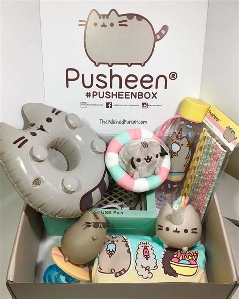 The Pusheen Box Is Filled With Toys And Other Things To Be Given As Gifts