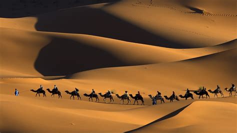 Nature Animals Landscape Camels Morocco Africa Sand Desert Dune
