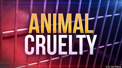 Trumps Signs Bill To Crack Down On Animal Cruelty Kion546