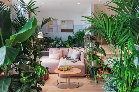 5 Ideas To Inspire You Set Up Your Biophilic Living Room Today