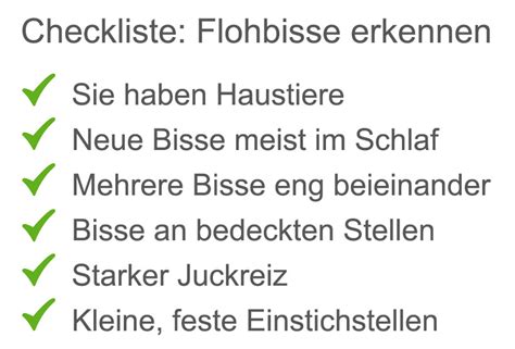 Weil flohbisse nicht nur äußerst unangenehm jucken, sondern die flöhe auch zu den überträgern diverser krankheiten zählen, sollten sie einen flohbefall niemals auf sich beruhen lassen. Flohbisse | Die unterschätzte Gefahr für Mensch und Tier