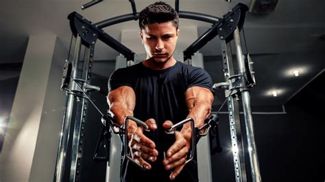 Male Fitness Muscle Building Techniques For Beginners