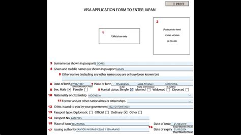 Cara Mengisi Form Pengajuan Visa Jepang Youtube