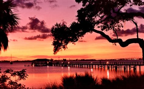 Maybe you would like to learn more about one of these? Annual Events in Melbourne, FL