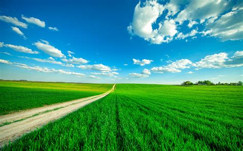 Picture Nature Sky Roads Fields Scenery Clouds 1920x1200