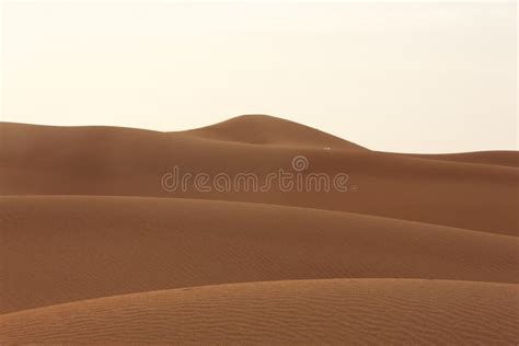 Desert Sand Dubai United Arab Emirates Middle East Stock Image