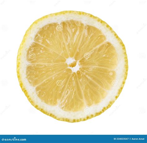 Slice Of Lemon Isolated On A White Background Stock Image Image Of
