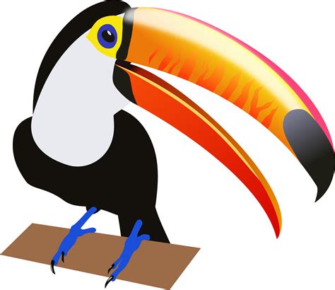 Cute Baby Toucan Clipart 20 Free Cliparts Download Images On