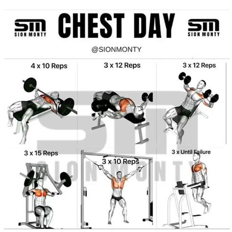 10 Best Chest Exercises For Building Muscle Chest Day Workout Chest Workout