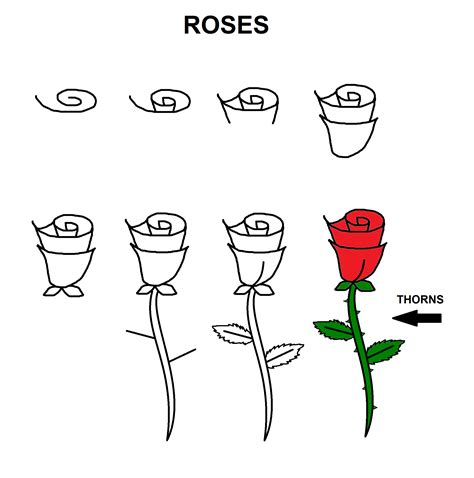 Tutorial For Drawing Simple Roses Flower Drawing Tutorials Roses