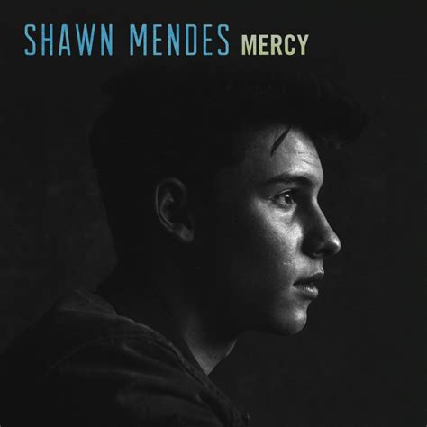 Shawn Mendes Mercy Lyrics Genius Lyrics