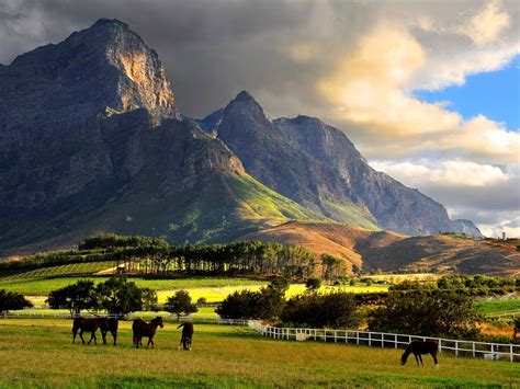 Cape Town Winelands And The Overberg Sample Trip South Africa