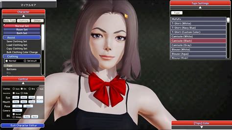 Tutorial How To Download And Install Koikatsu Or Honey Select 2 Card
