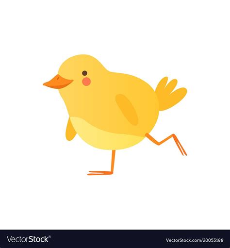 Cute Baby Chicken Walking Funny Cartoon Bird Character Vector