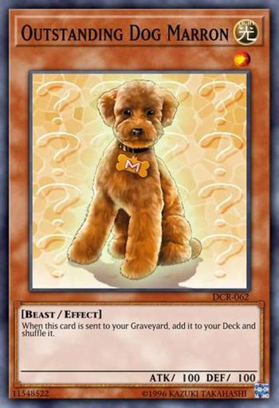 Top 20 Cutest And Most Adorable Yu Gi Oh Cards Fandomspot