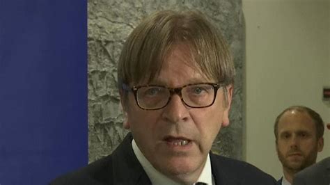 This Is Not The Safeguard Ireland Needs Says Guy Verhofstadt On New